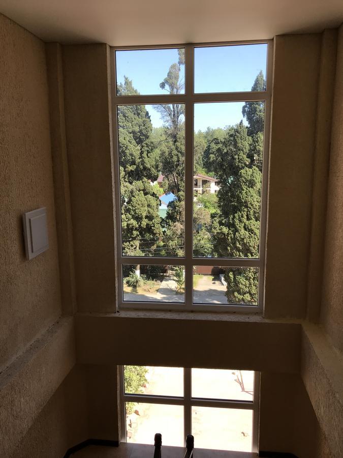 Hotel Anna 皮聪达 外观 照片